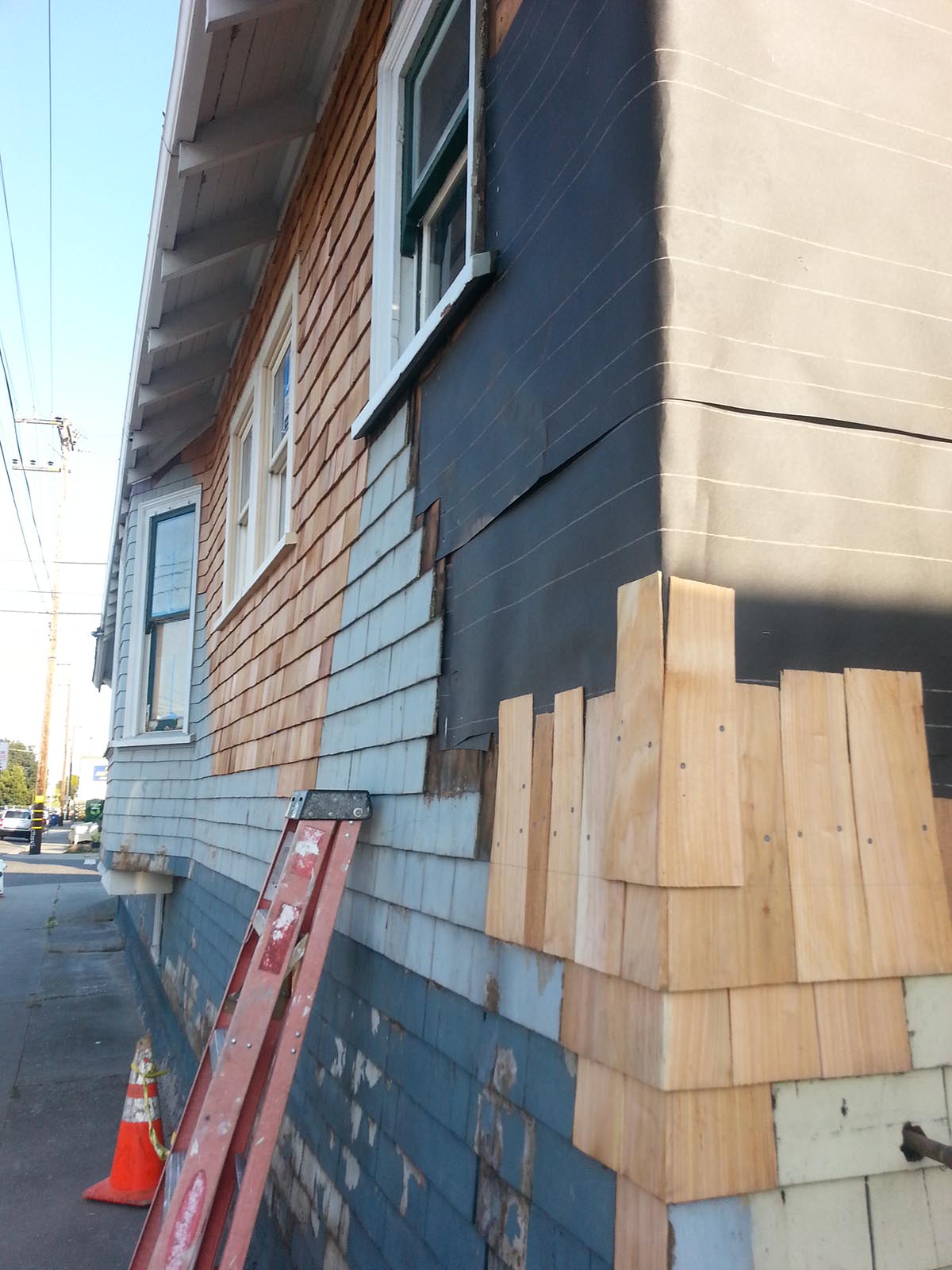 shingles1