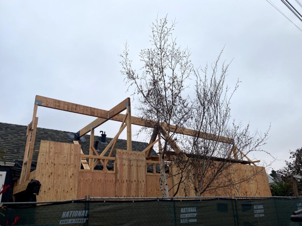 West Berkeley ADU, framing, photo 5 of 11